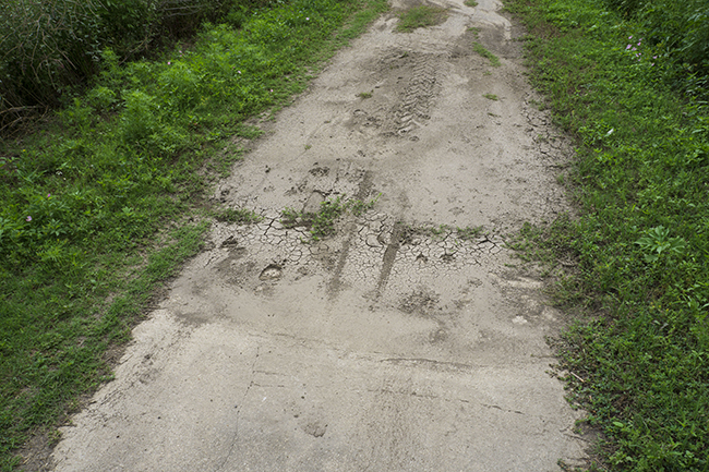 Photograph of mostly dried mud that Schwalbe Big Apple bike tires don't like when it is wet.